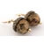 Handmade earrings with golden Czech glass acorn gold fill fall autumn