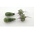 Handmade earrings with sage green lavendar lampwork glass green opal sterling